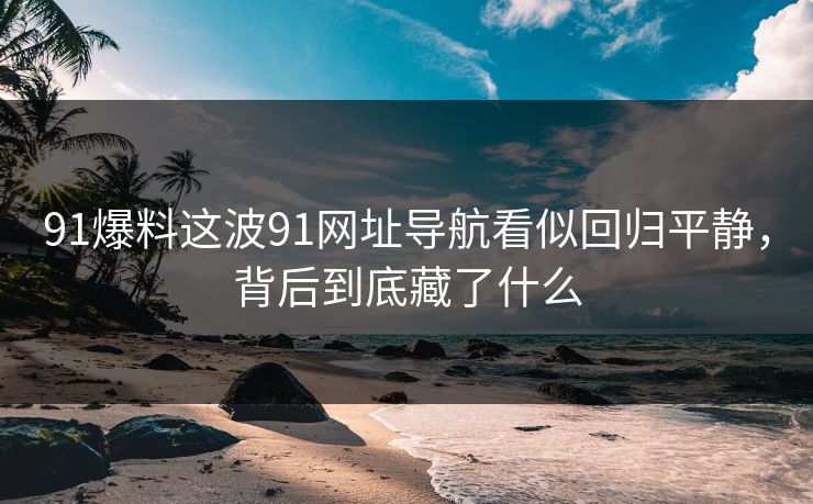 91爆料这波91网址导航看似回归平静，背后到底藏了什么