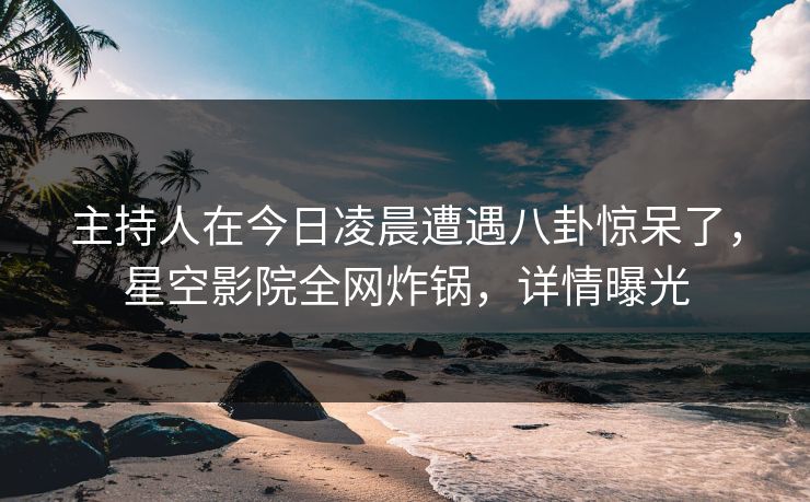 主持人在今日凌晨遭遇八卦惊呆了,星空影院全网炸锅,详情曝光