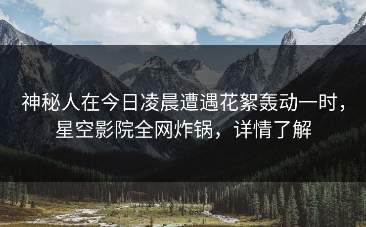 神秘人在今日凌晨遭遇花絮轰动一时,星空影院全网炸锅,详情了解