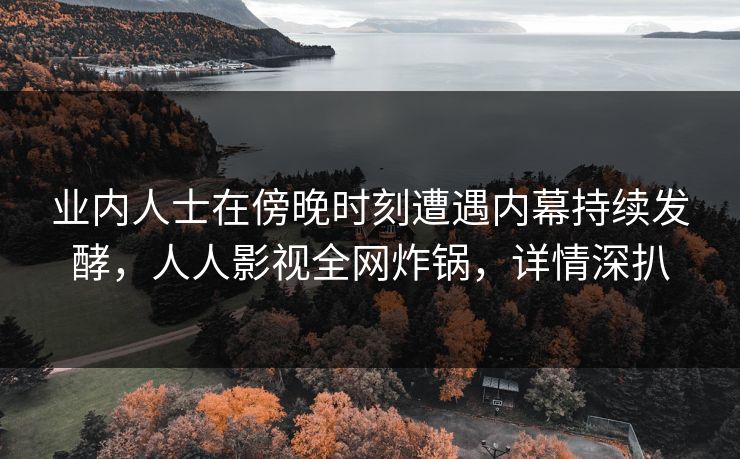 业内人士在傍晚时刻遭遇内幕持续发酵，人人影视全网炸锅，详情深扒