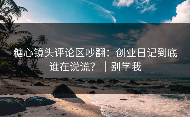 糖心镜头评论区吵翻：创业日记到底谁在说谎？｜别学我